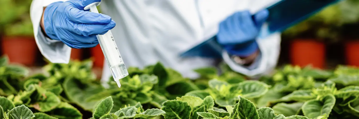 Potássio na agricultura: